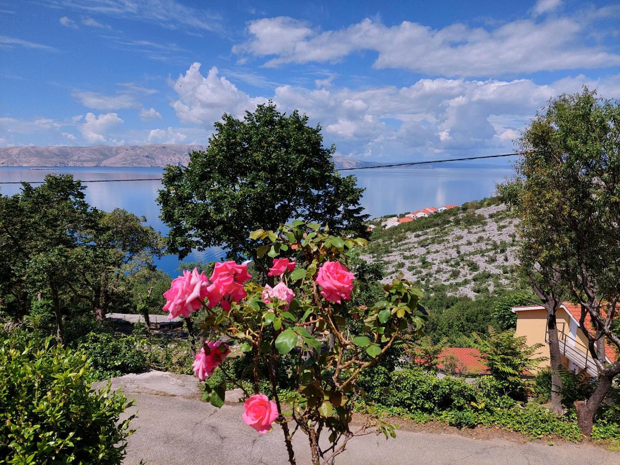 Dalibor Apartment Senj  Exterior photo